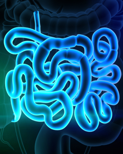 Improves Digestion Naturally